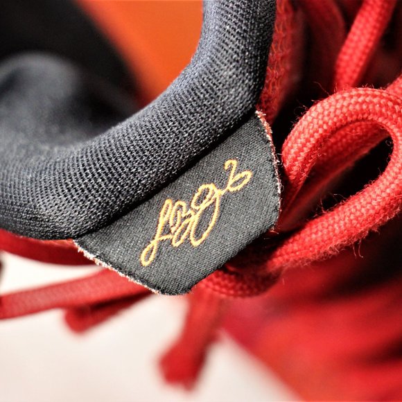 Nike LeBron 12 \'Heart of a Lion\' main image 8